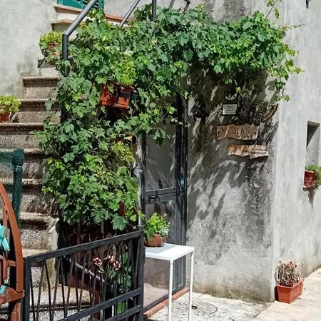 Nicolas House Campiglia dʼOrcia Eksteriør billede