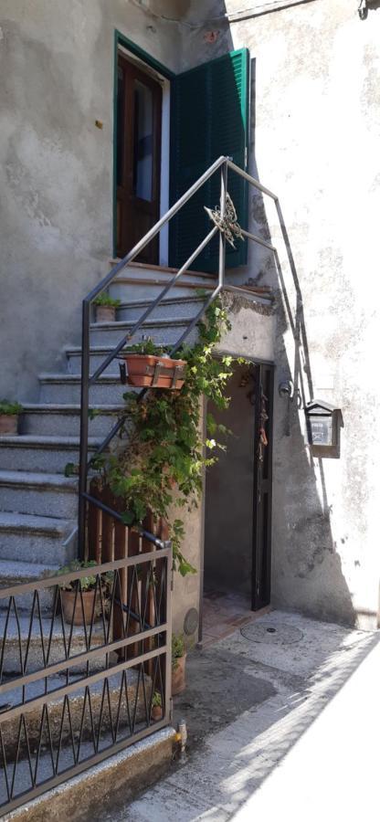 Nicolas House Campiglia dʼOrcia Eksteriør billede
