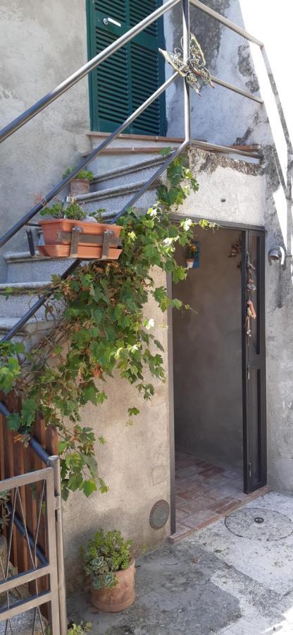 Nicolas House Campiglia dʼOrcia Eksteriør billede